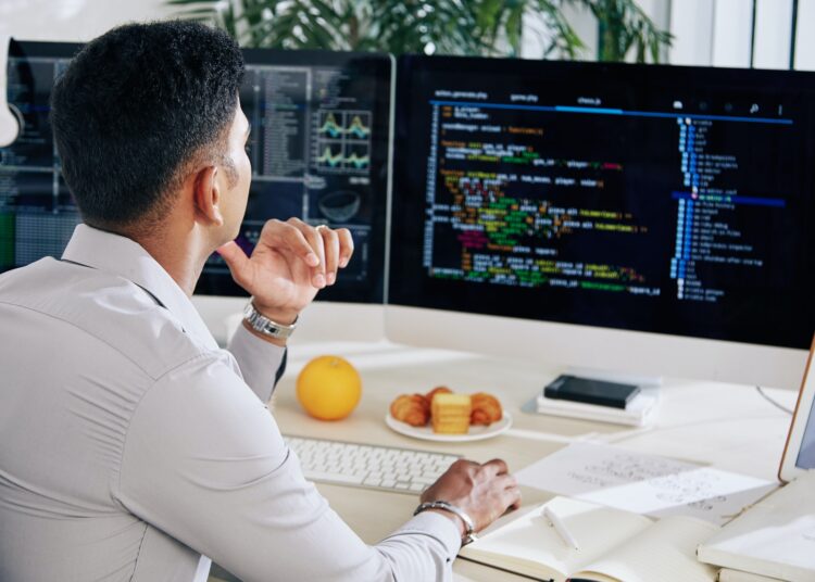 Developer checking programming code